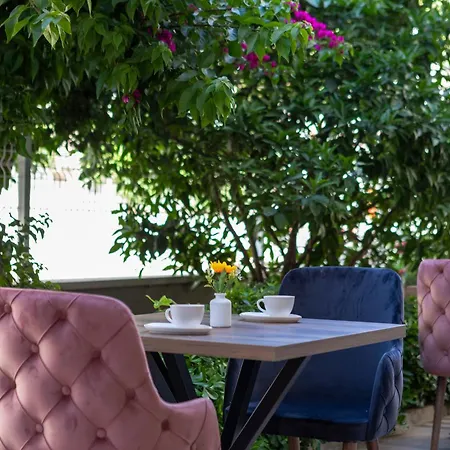 Toprak Apartment